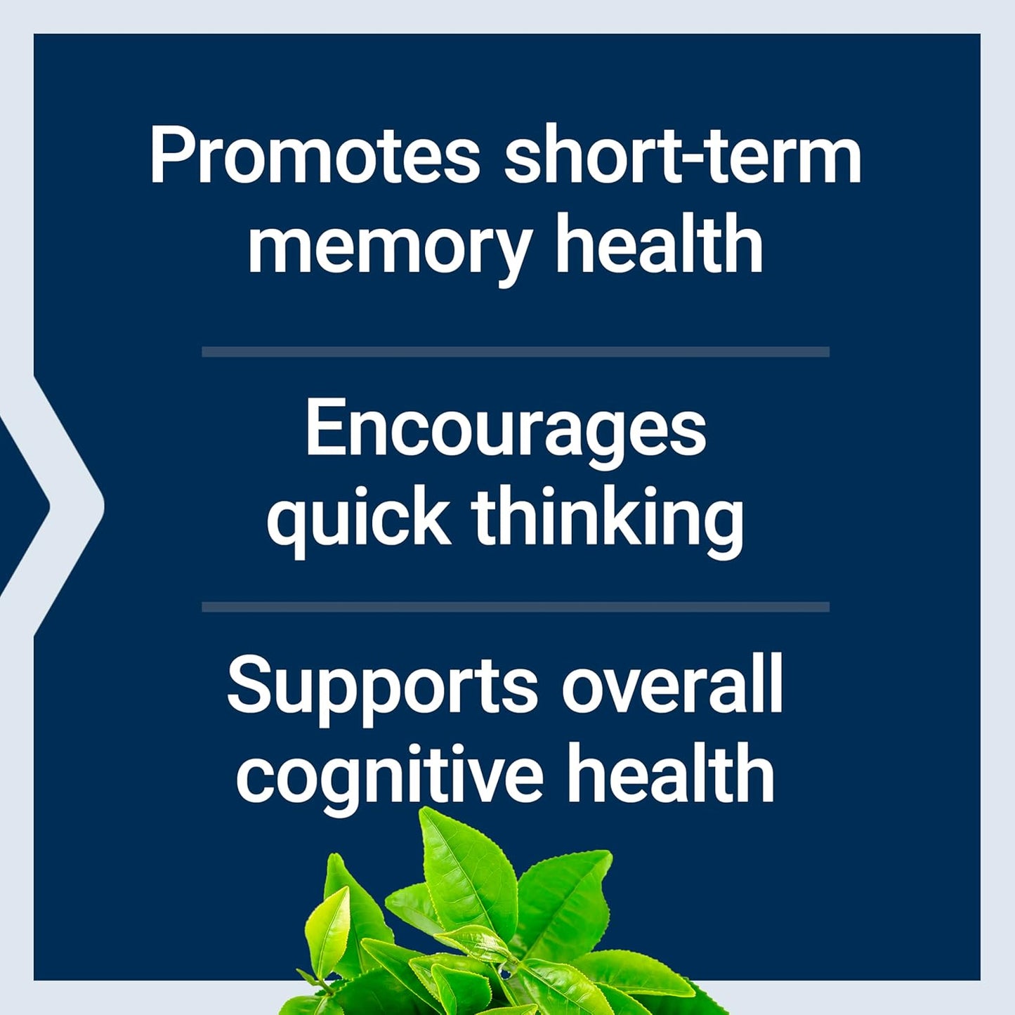 Life Extension Neuro-Mag Magnesium L-Threonate, Memory Health